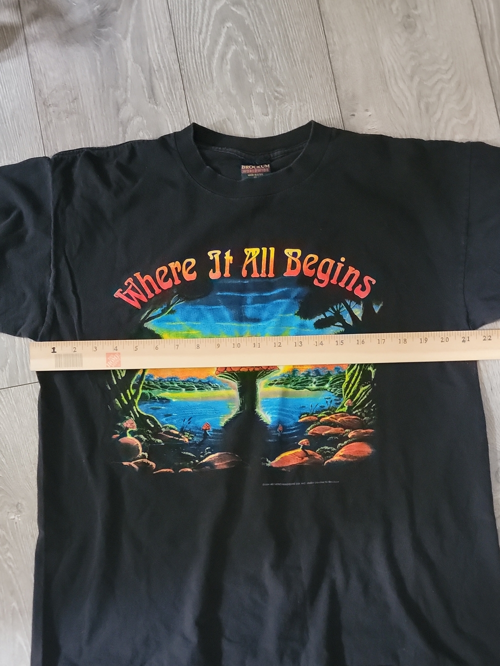 Allman Brothers "Where It All Begins" Tour Shirt (1994) - Picture 2 of 6